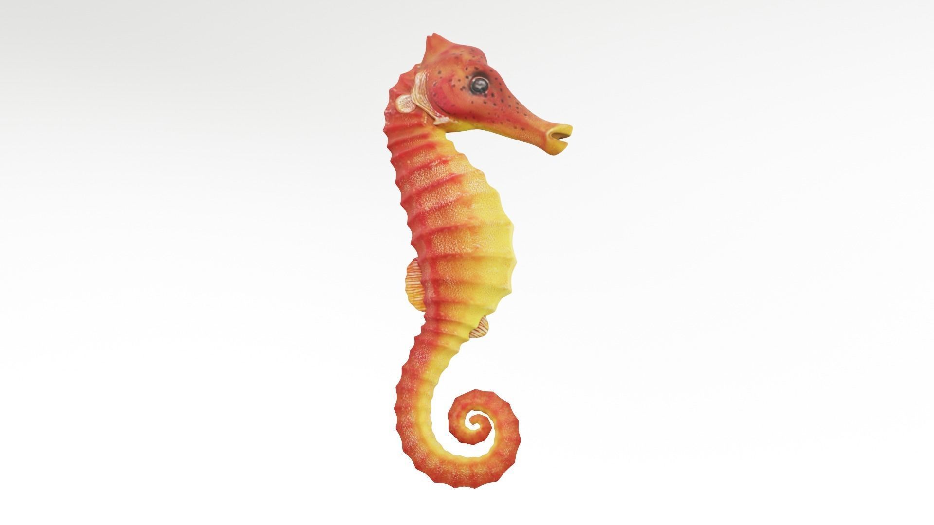 Textured Seahorse Low-poly 3D model_7