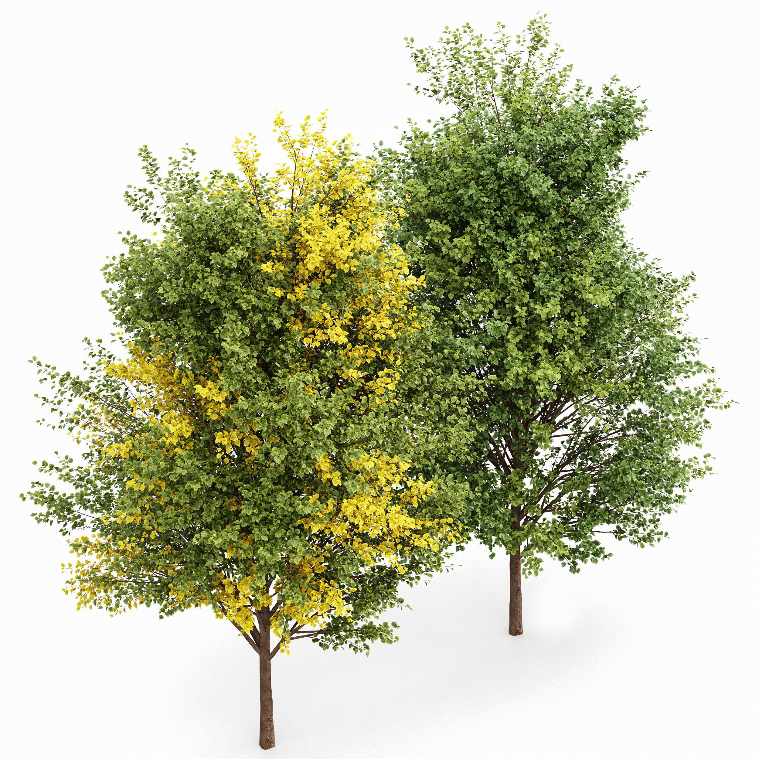 10 Different SETS of Trees SET VOL02 3D Model Collection_12