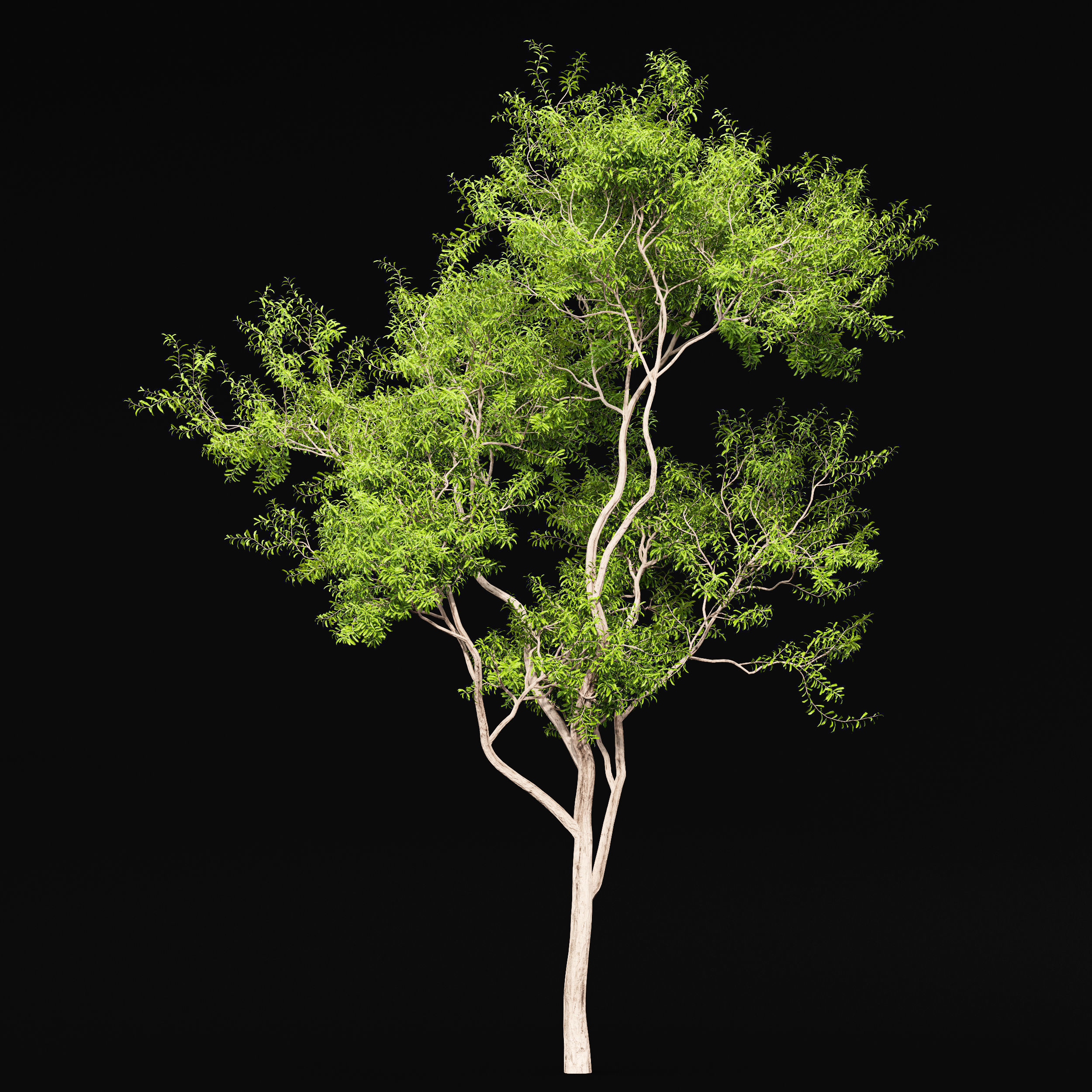 10 Different SETS of Trees SET VOL02 3D Model Collection_13