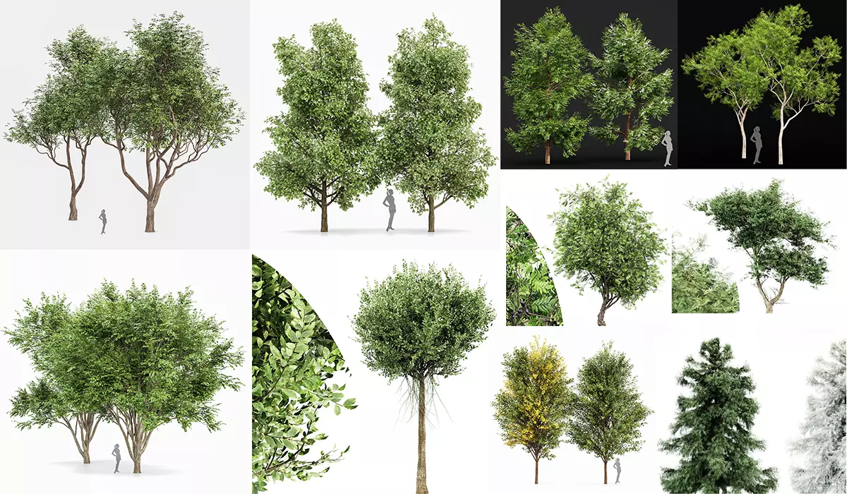 10 Different SETS of Trees SET VOL02 3D Model Collection_0