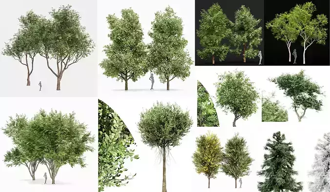 10 Different SETS of Trees SET VOL02 3D Model Collection