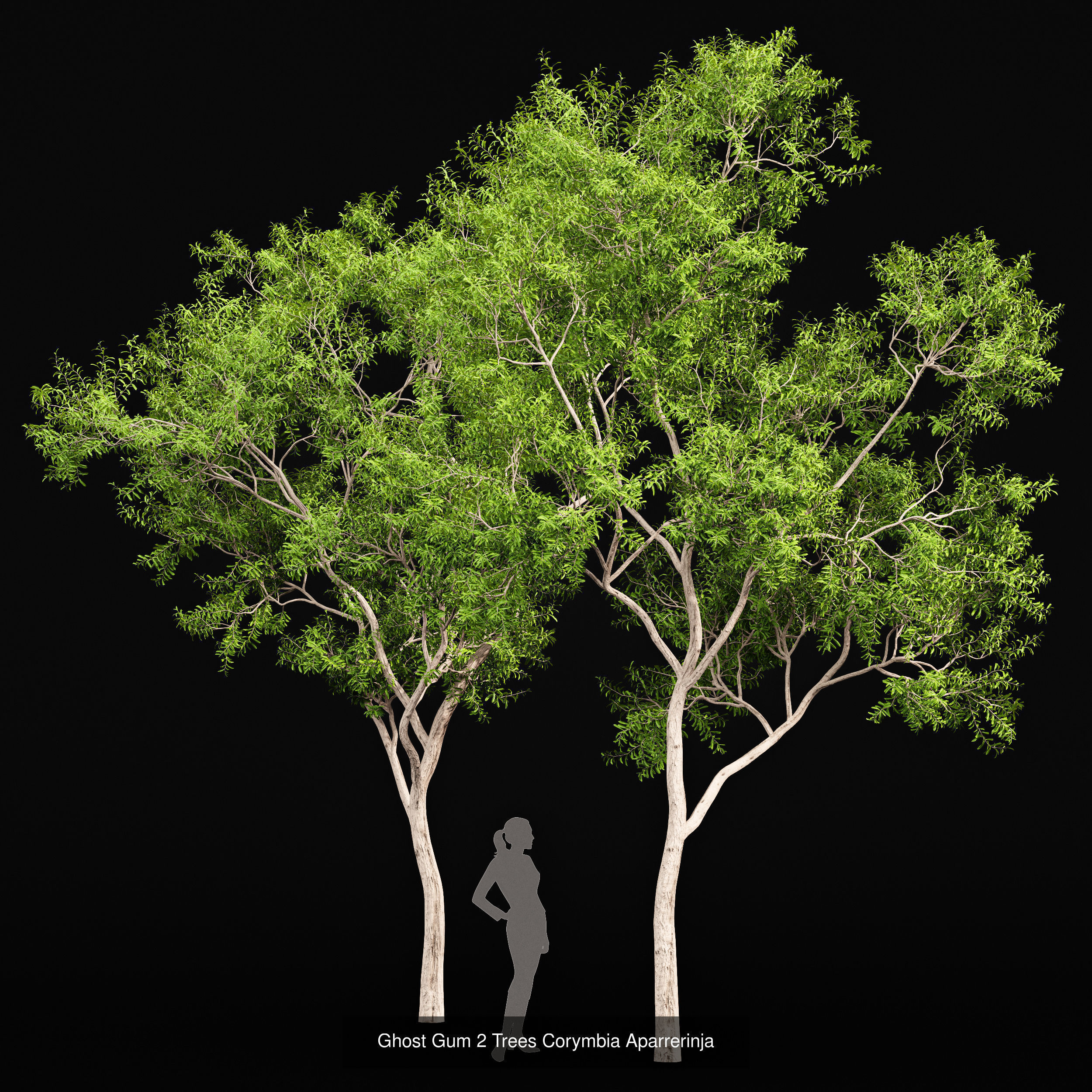 10 Different SETS of Trees SET VOL02 3D Model Collection_10