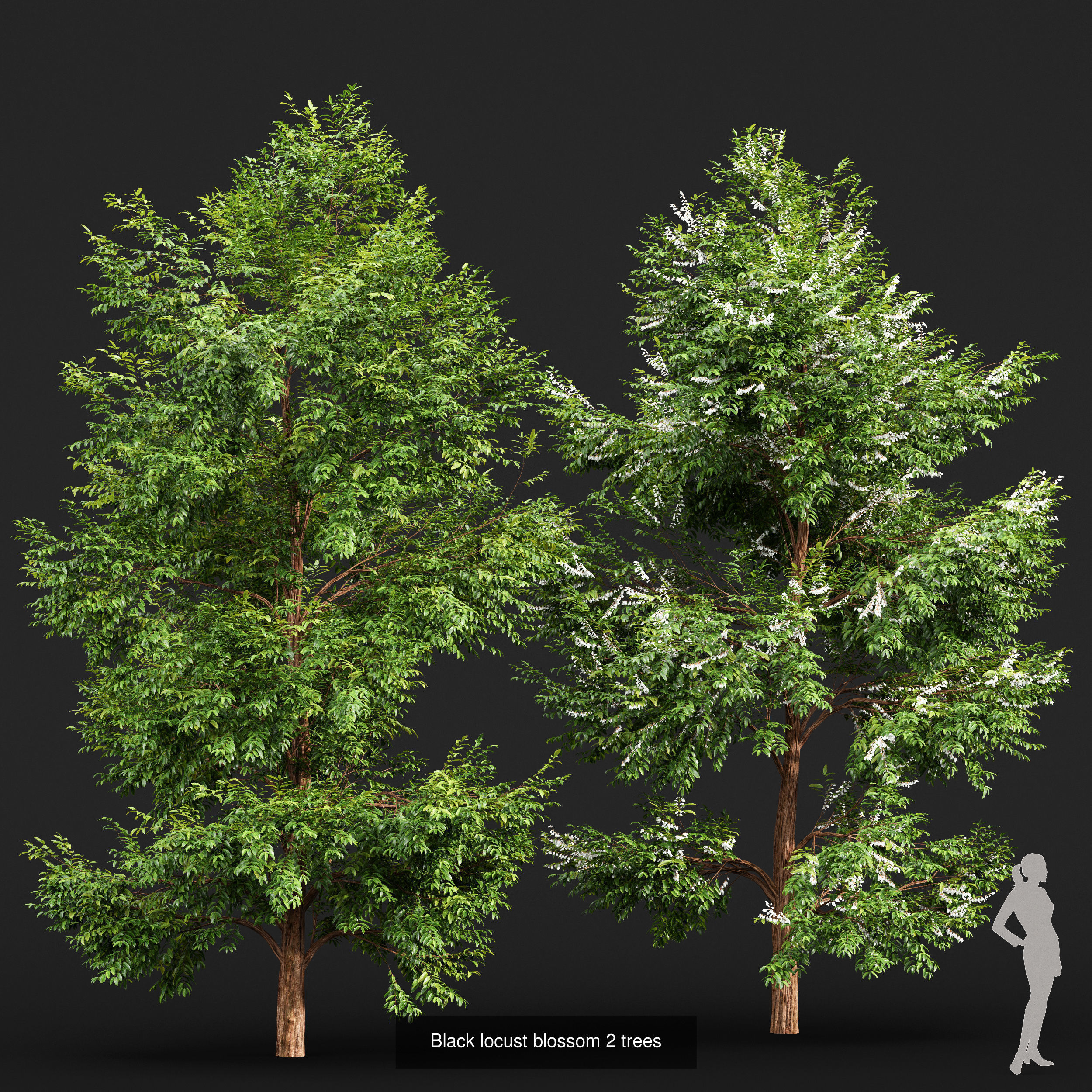 10 Different SETS of Trees SET VOL02 3D Model Collection_9