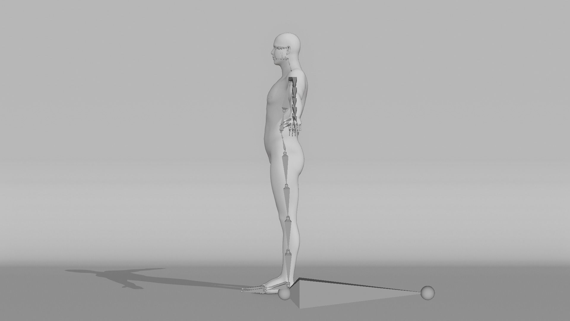 Realistic Male - Gary 3D model_14