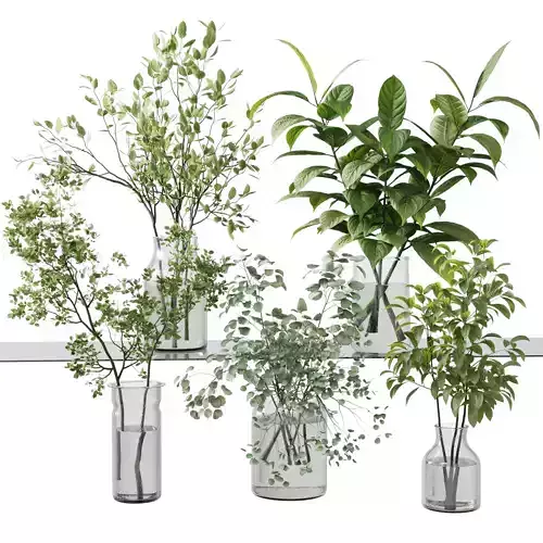 Collection Green Plants Bouquet Indoor 34  Low-poly 3D model