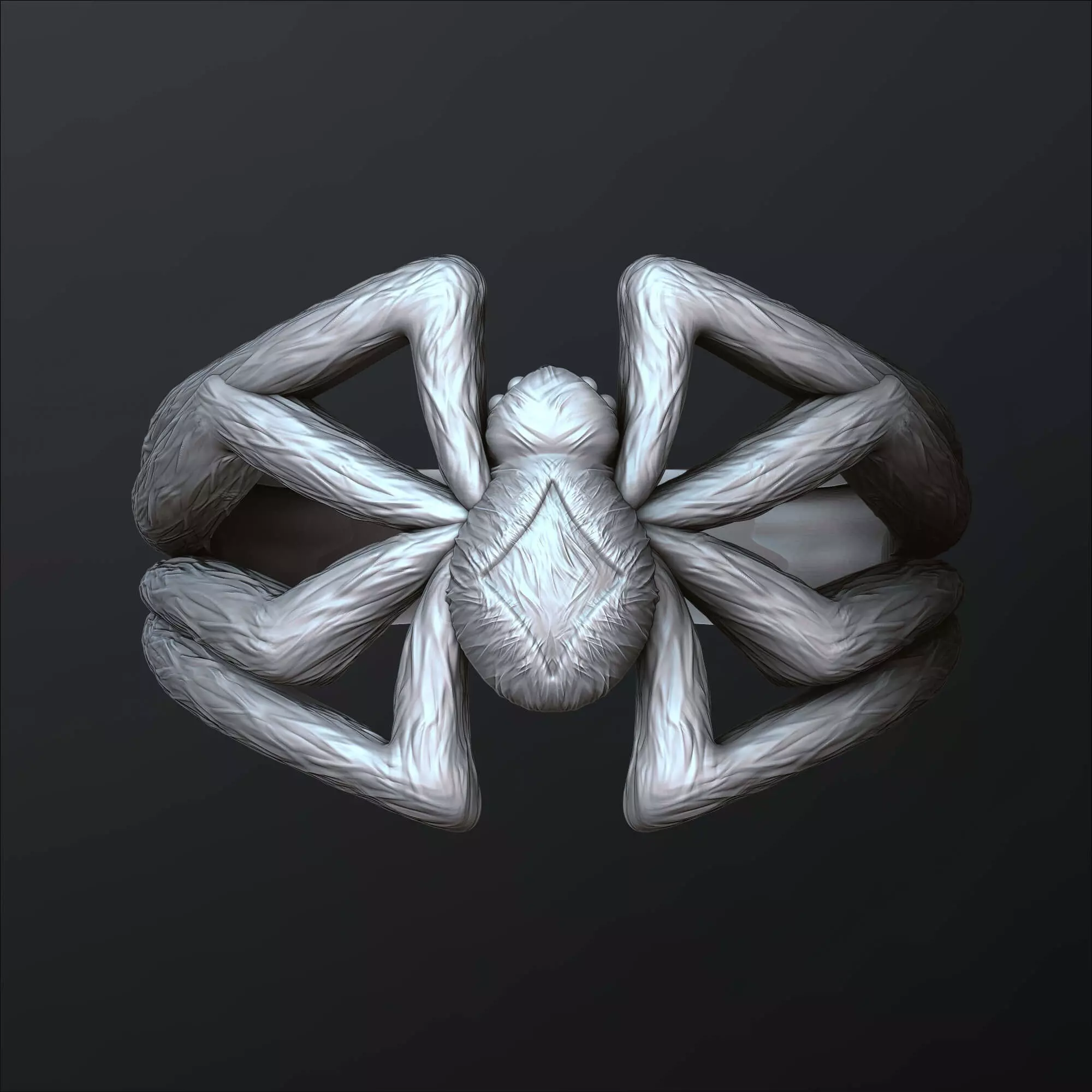 Spider Ring 3D print model_0