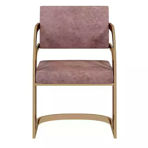 Brass Framed Mink Velvet Dining Chair
