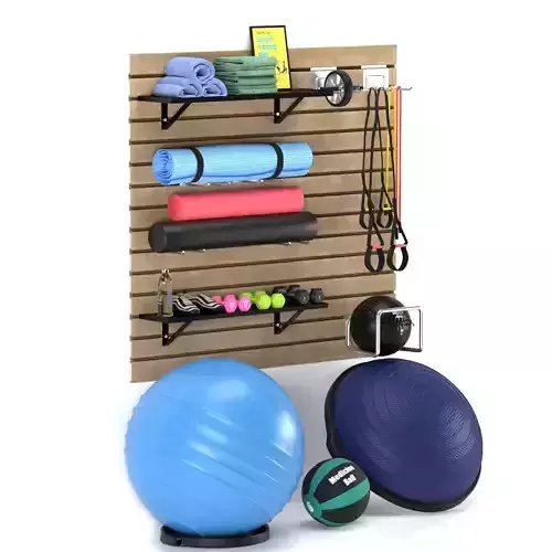 StoreWALL Deluxe Home Gym Fitness
