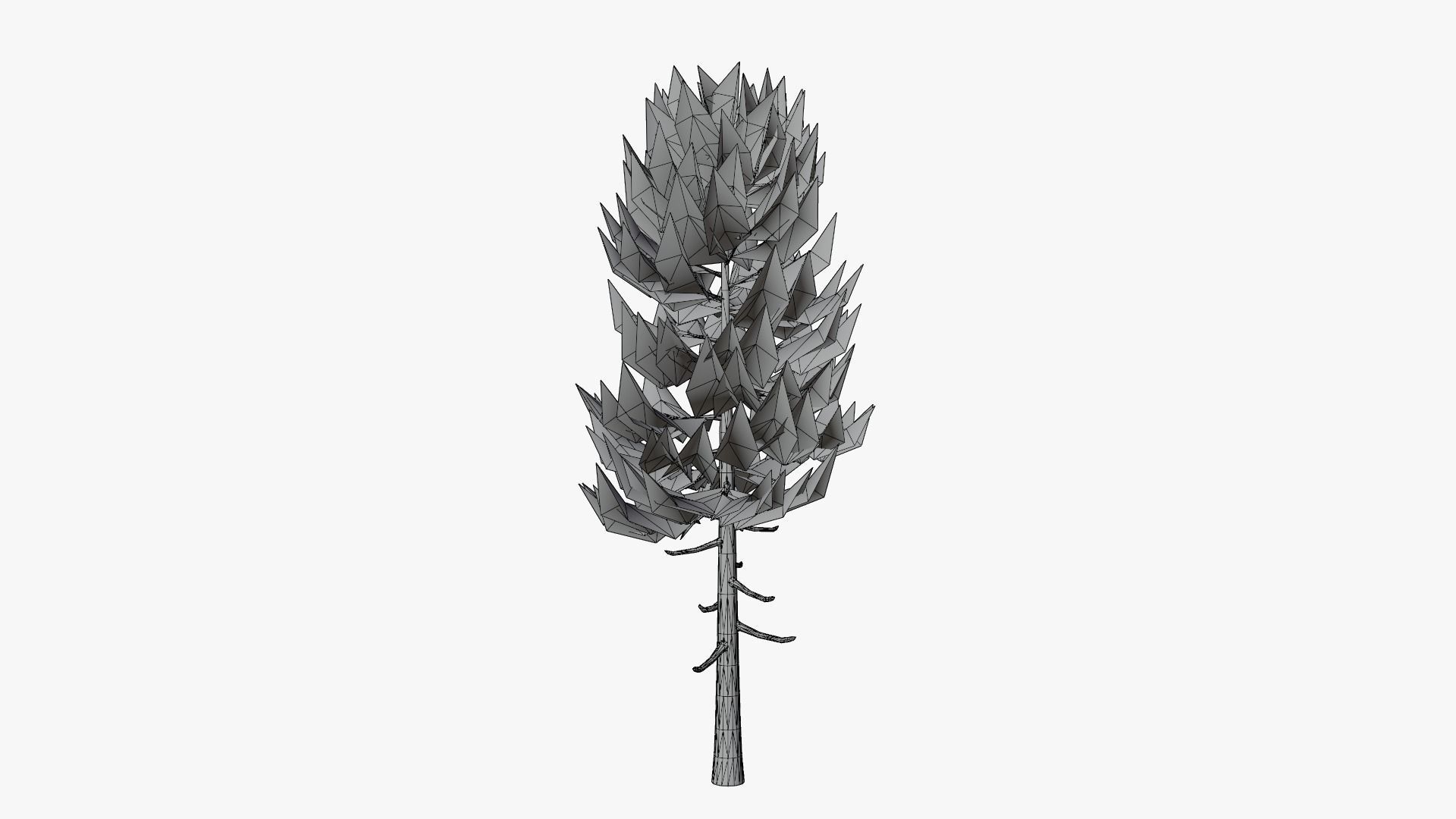 Lowpoly Pine v5 Low-poly 3D model_6