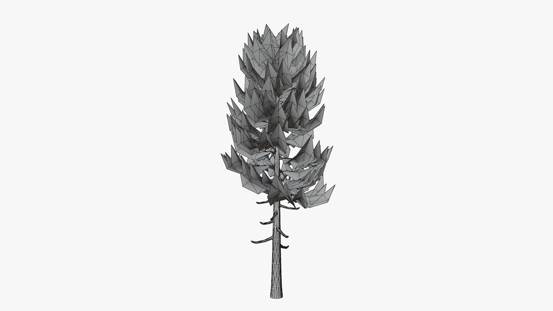 Lowpoly Pine v5 Low-poly 3D model_9