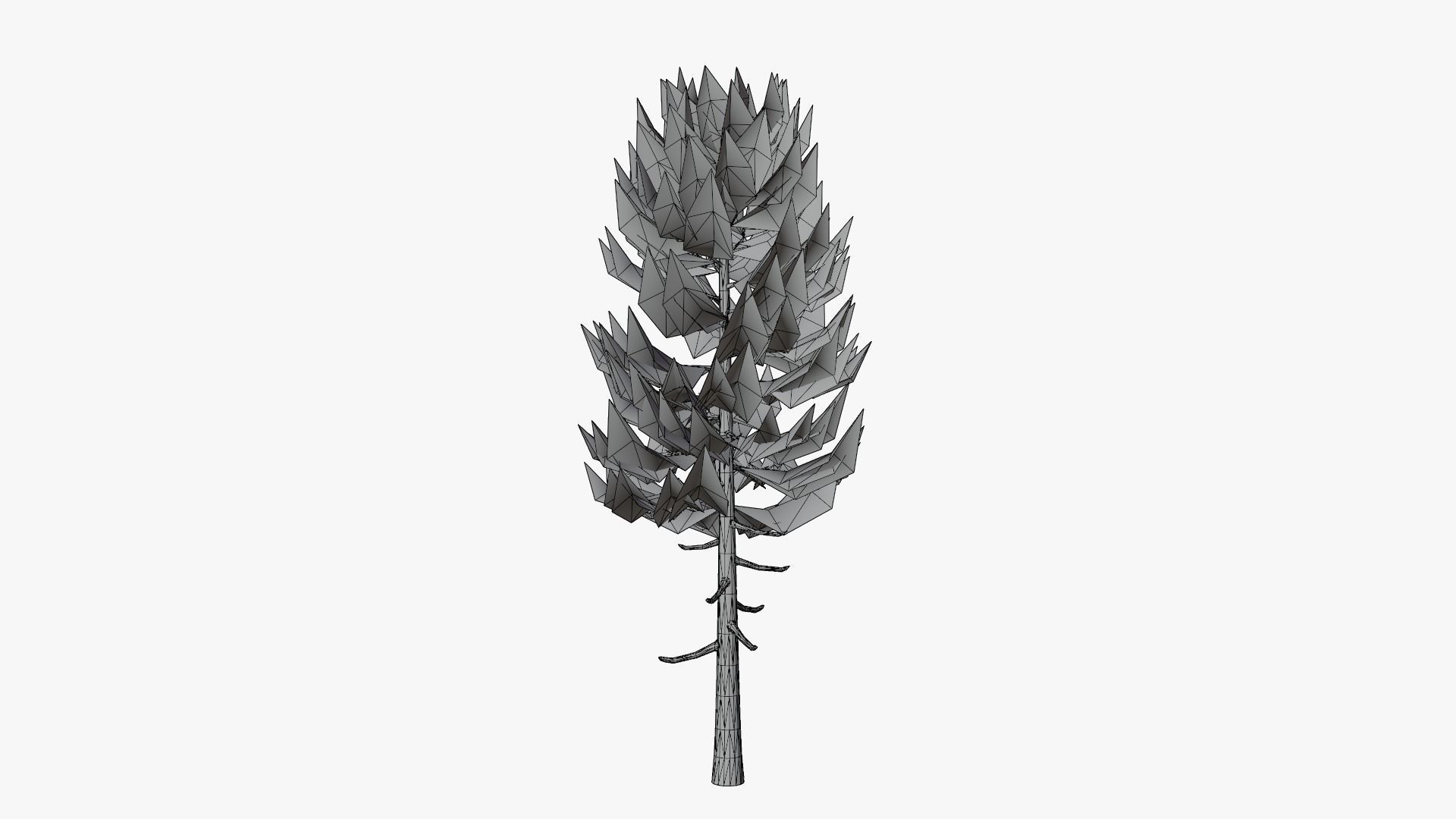 Lowpoly Pine v5 Low-poly 3D model_11