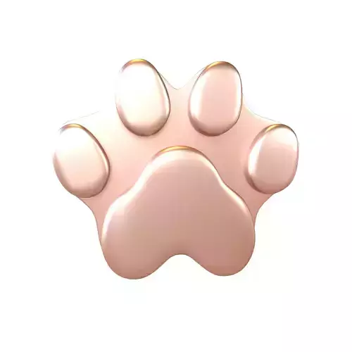 Dog Paw Print v2 005