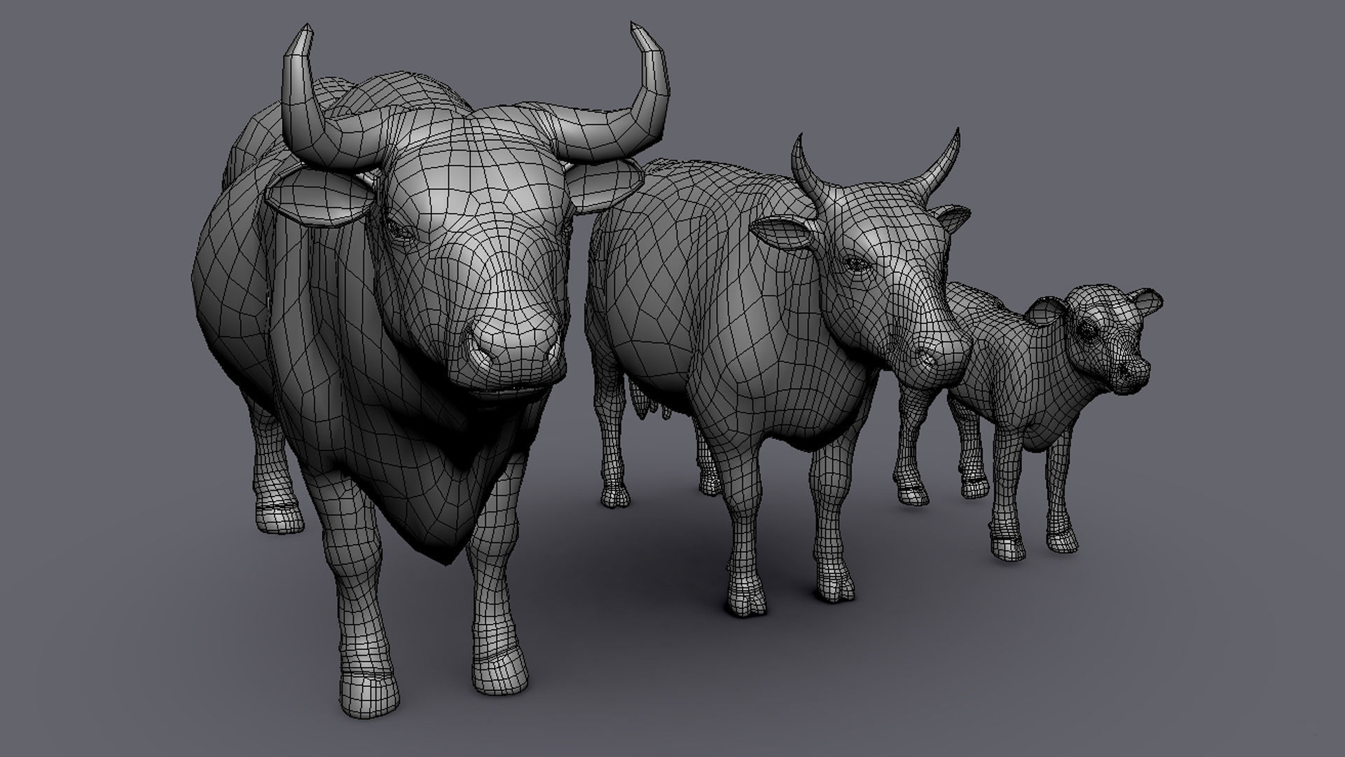 Cow Family II Basemesh 3D Model Collection_2