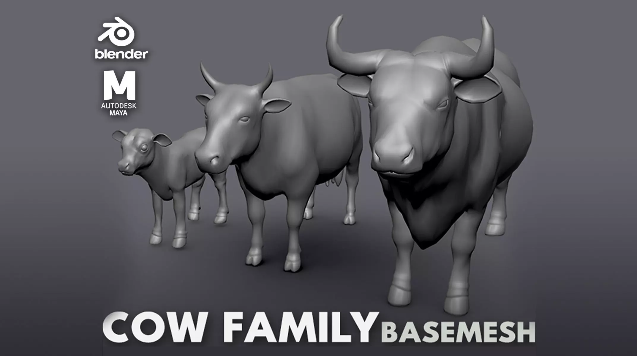 Cow Family II Basemesh 3D Model Collection_0