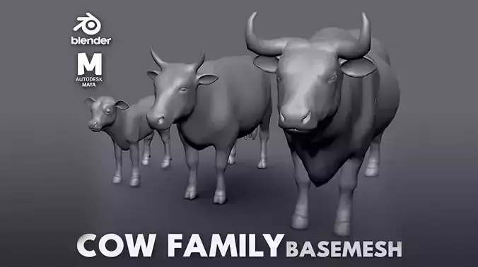 Cow Family  II  Basemesh 3D Model Collection