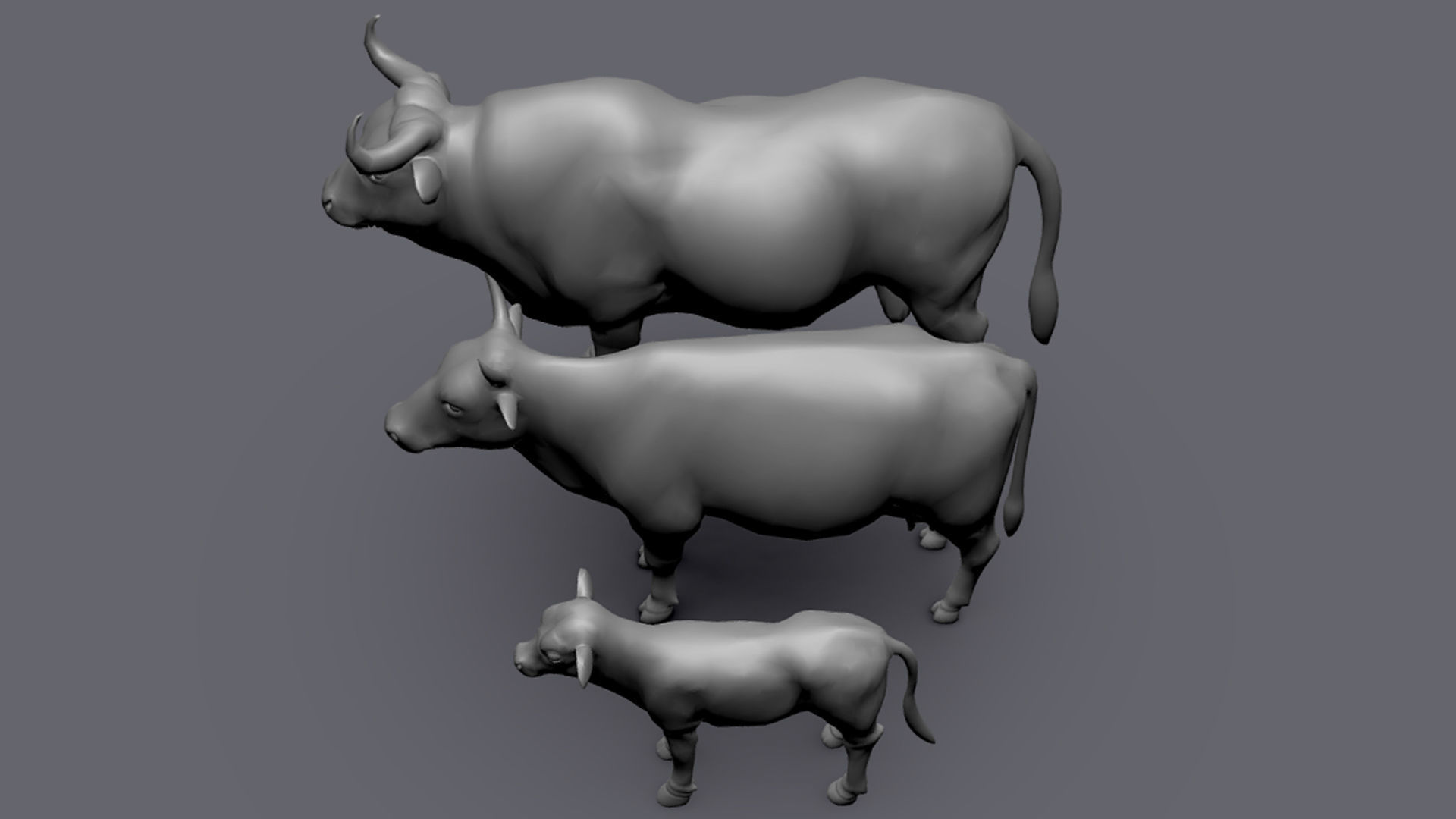 Cow Family II Basemesh 3D Model Collection_9
