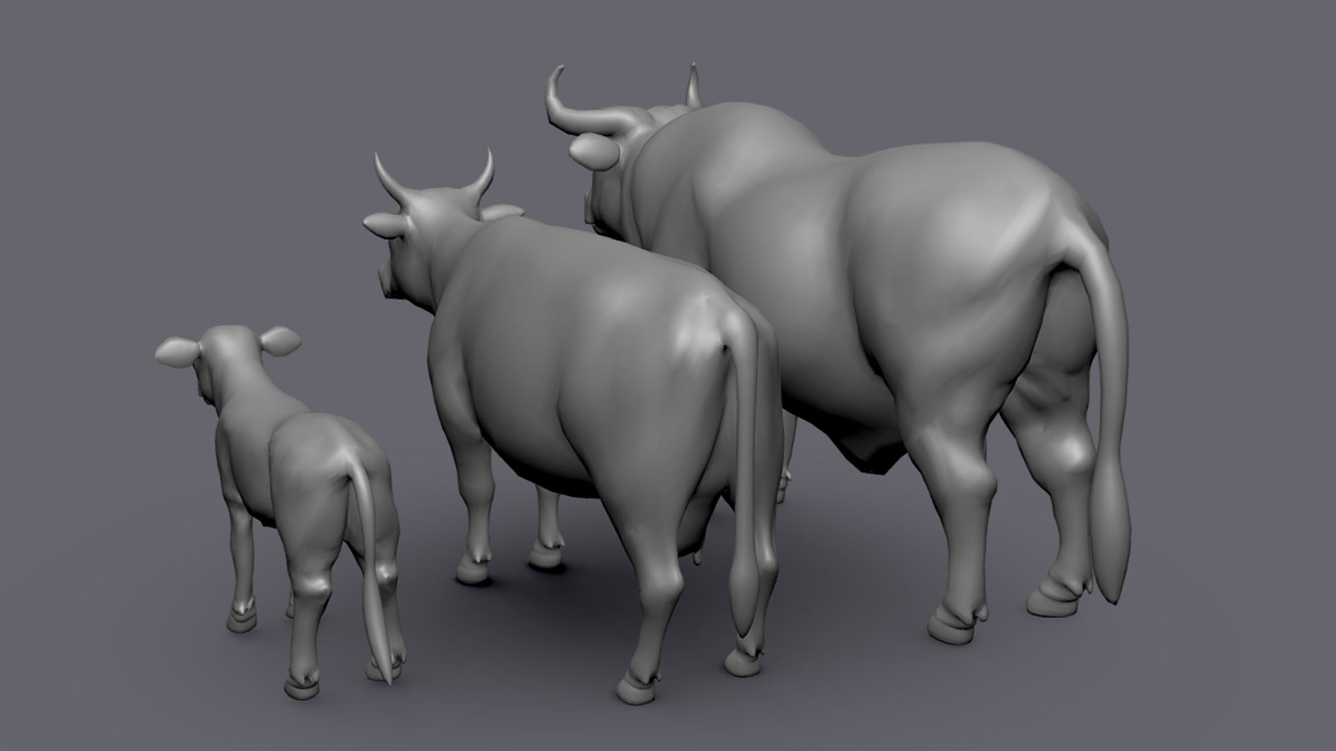 Cow Family II Basemesh 3D Model Collection_7