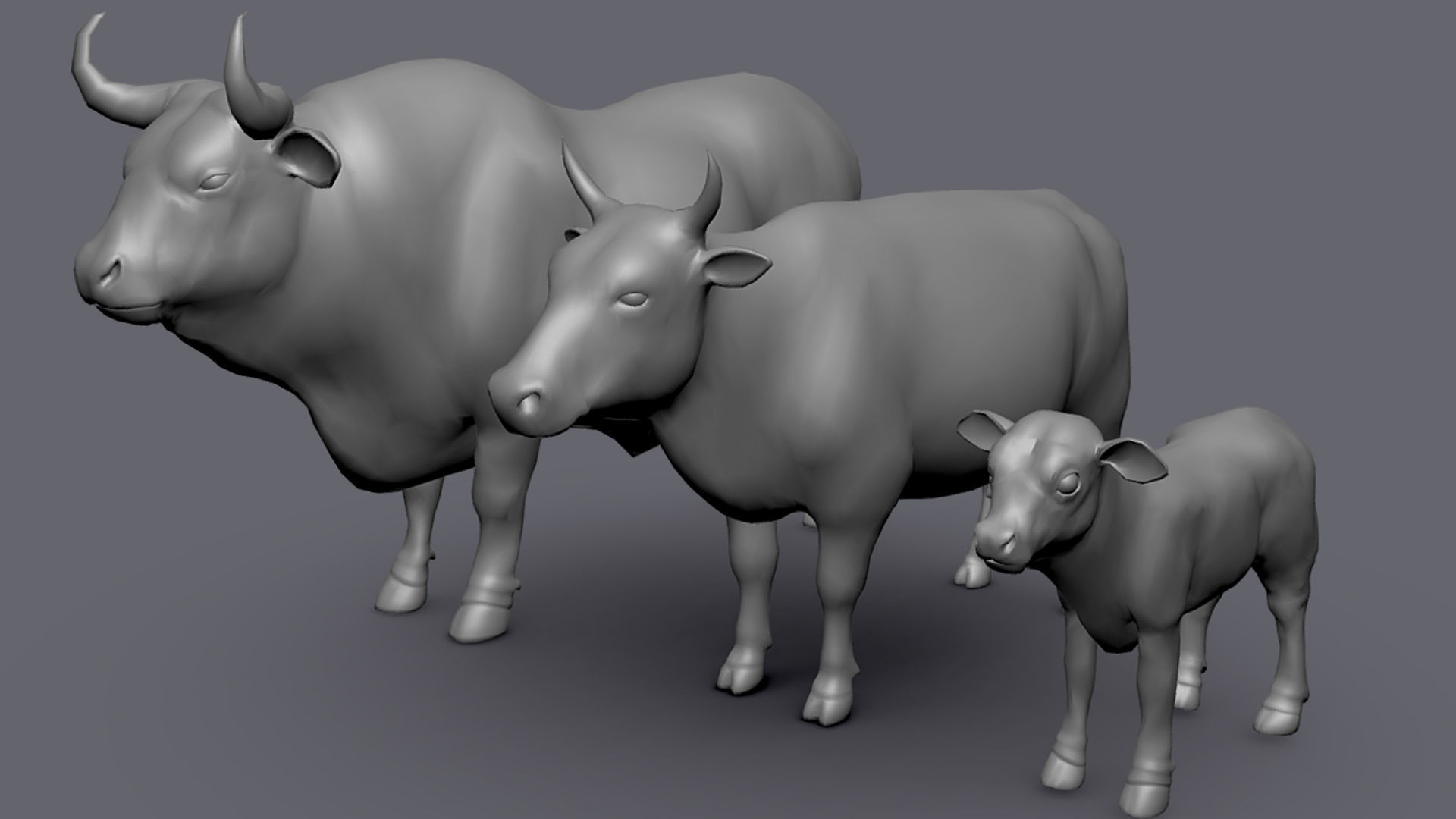 Cow Family II Basemesh 3D Model Collection_5