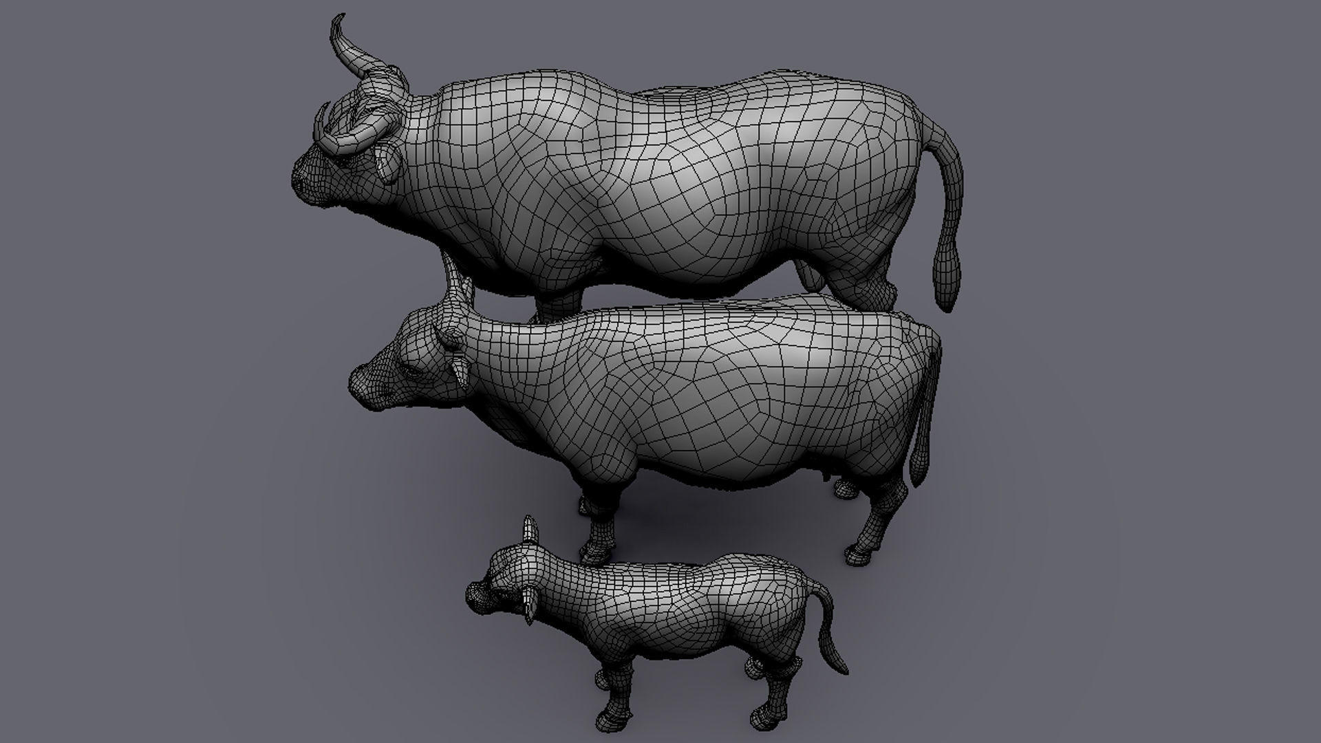 Cow Family II Basemesh 3D Model Collection_10