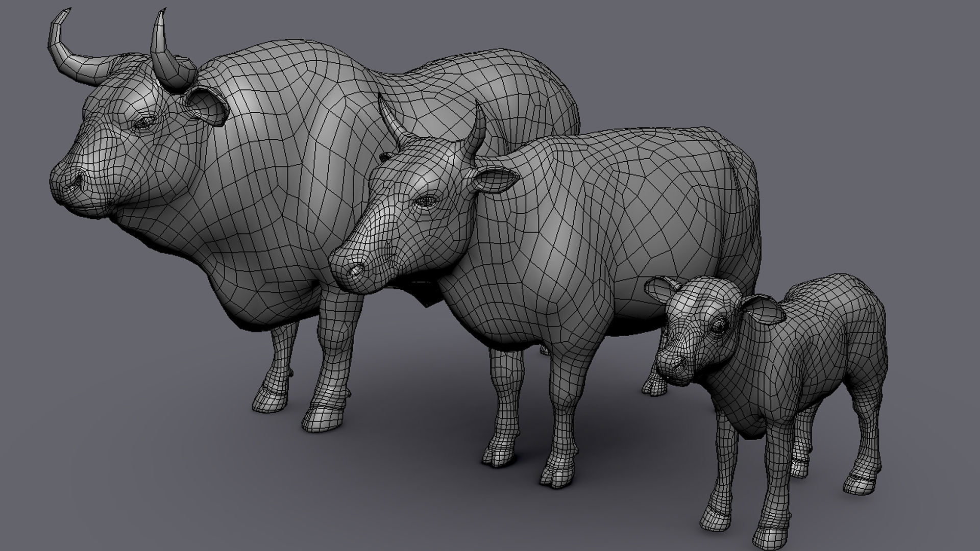 Cow Family II Basemesh 3D Model Collection_6