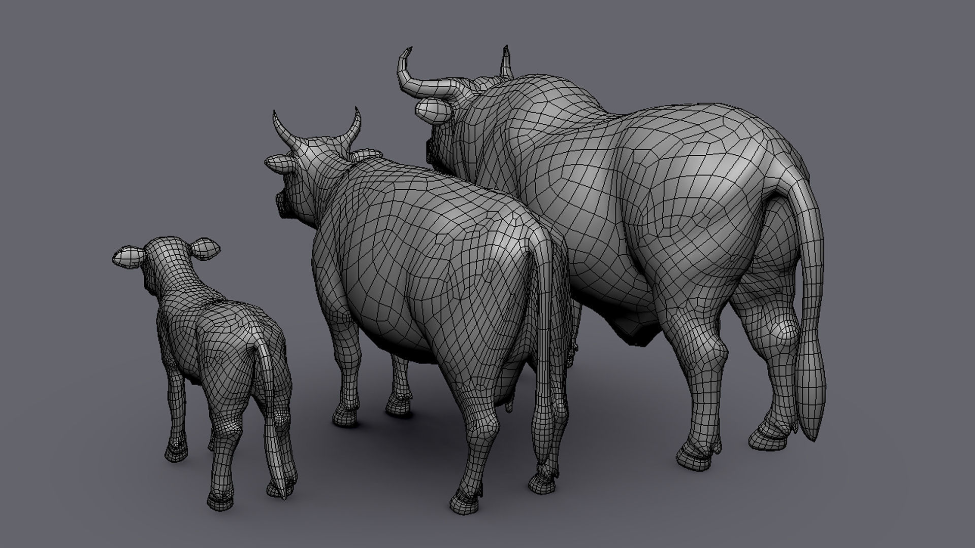Cow Family II Basemesh 3D Model Collection_8