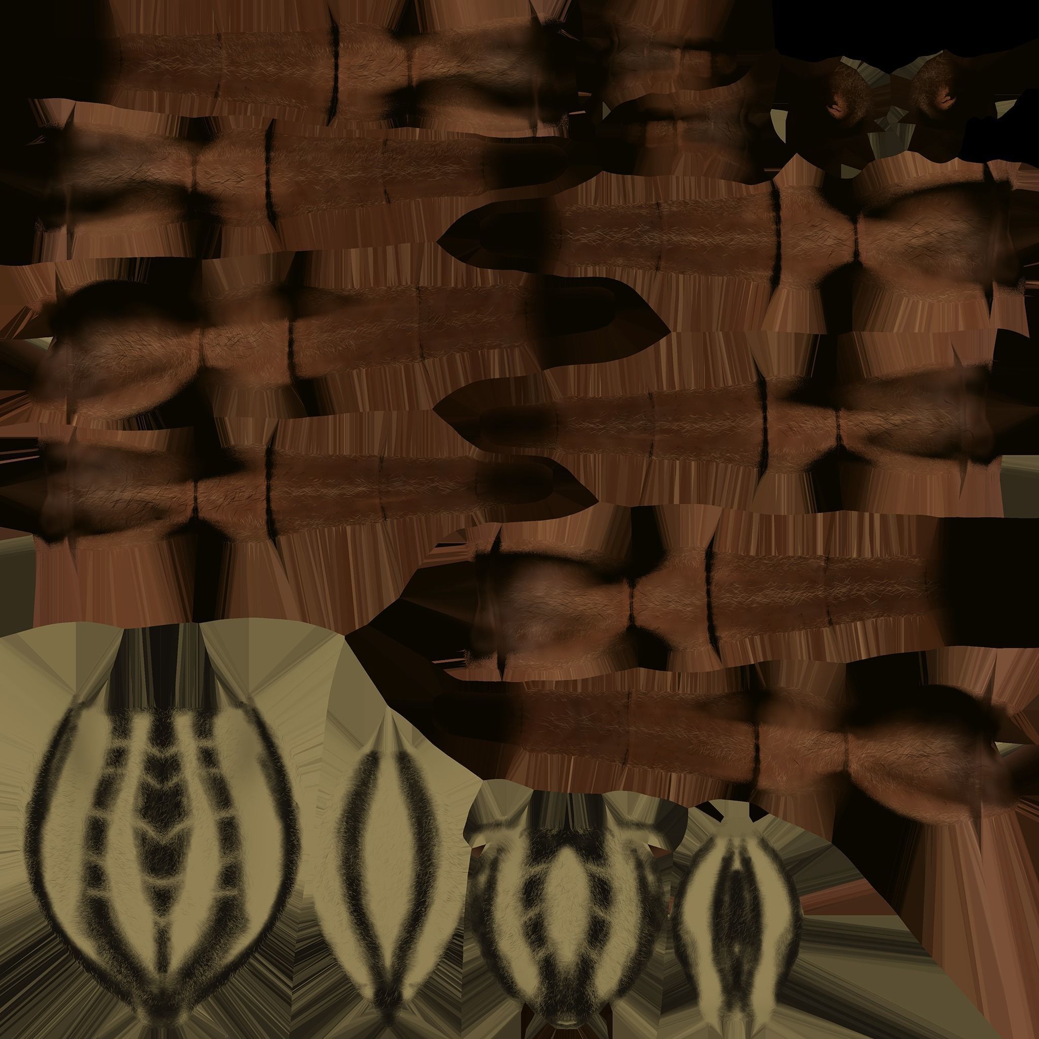 Wolf Spider Low-poly 3D model_12