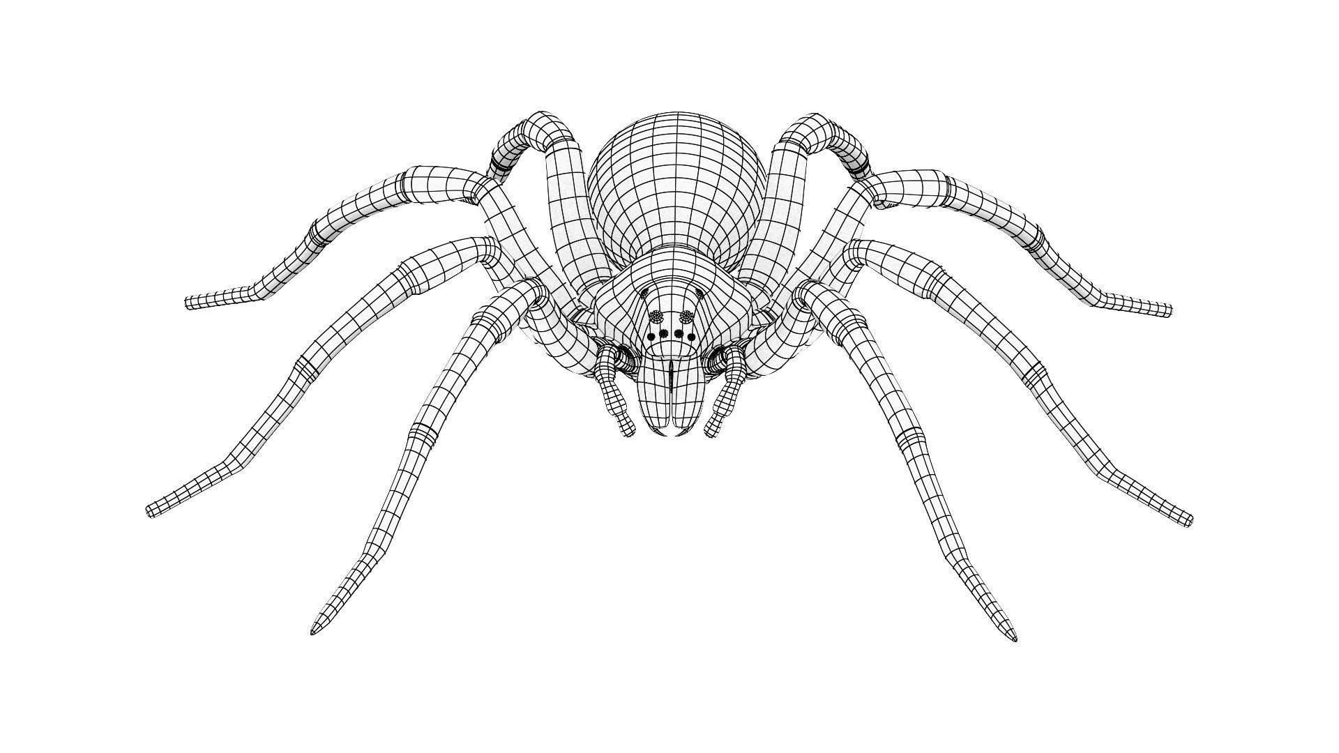Wolf Spider Low-poly 3D model_3