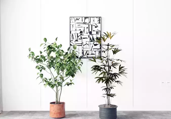 Modern Plant Potting 3D model