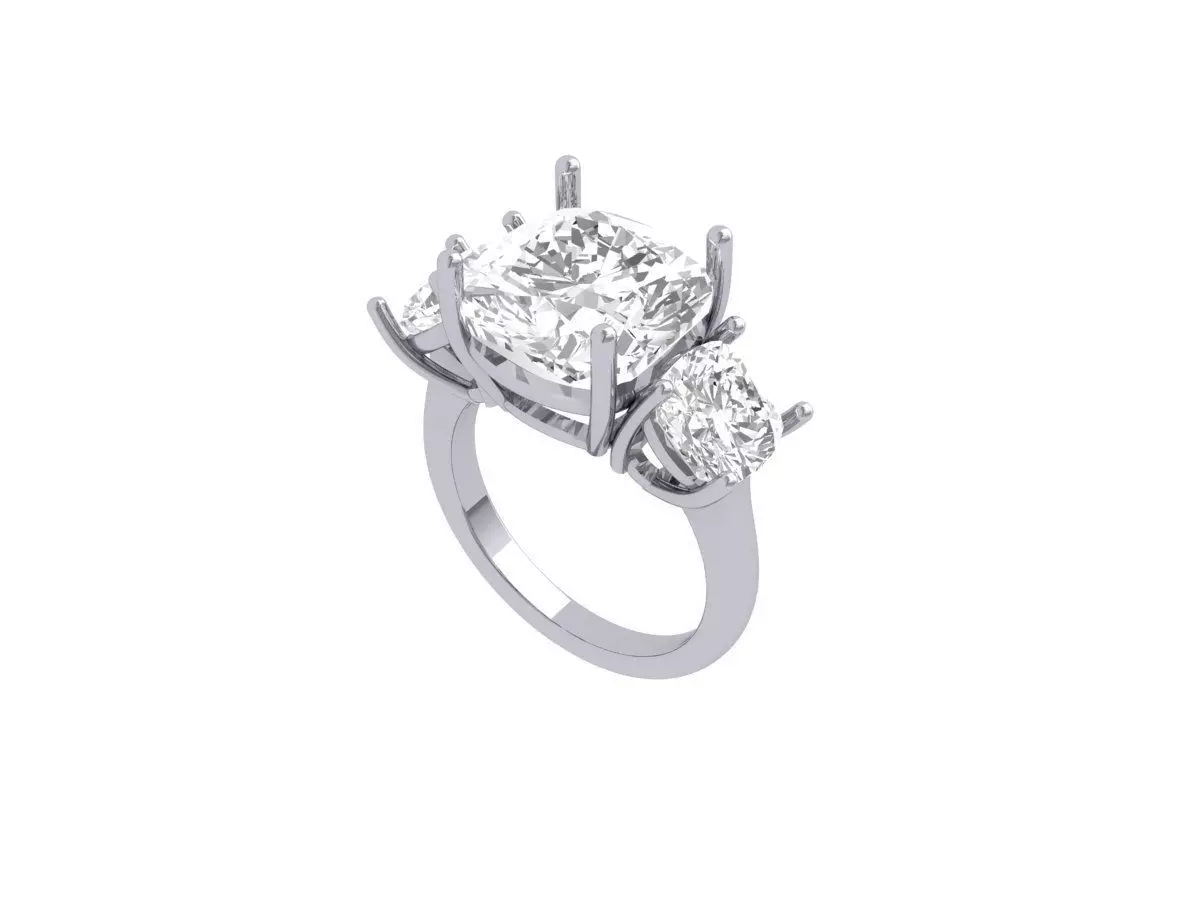 Cushion Ring 3D print model_0