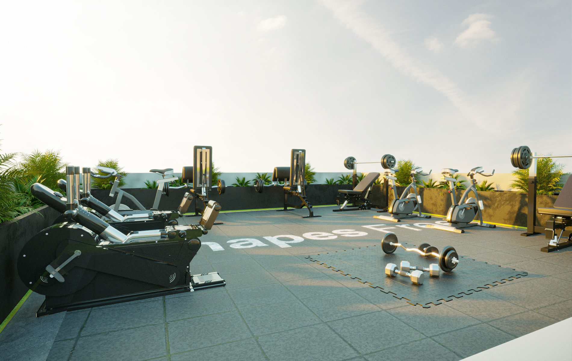 collection set of gyms and fitness centers _20