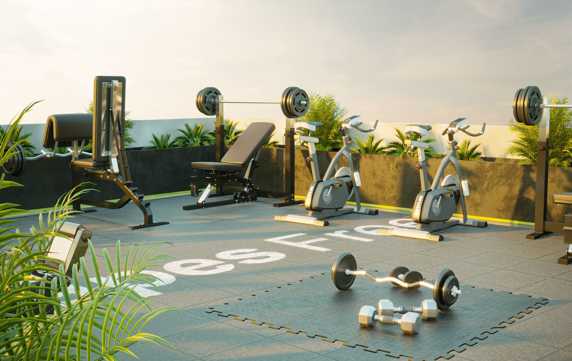 collection set of gyms and fitness centers _21