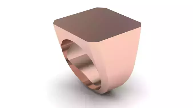 20 mm Signet Ring Eamradshape Pritable model 3dmodel US 7