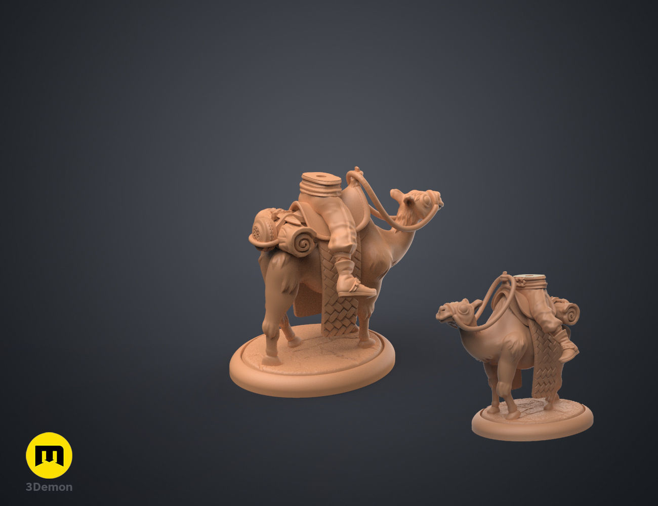 Magnetic DnD Desert Travels Pack 3D print model_7