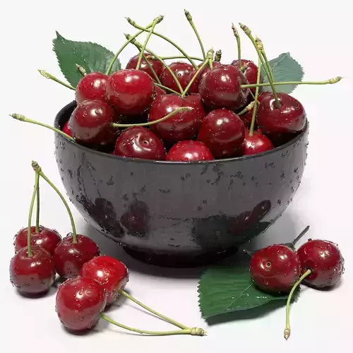 Wet Cherries 3D model