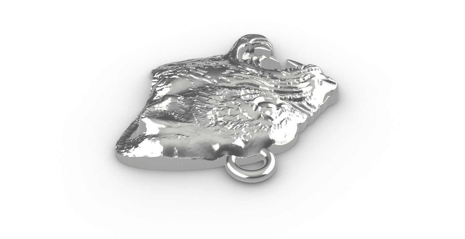 Beautiful pendant 3D print model_5