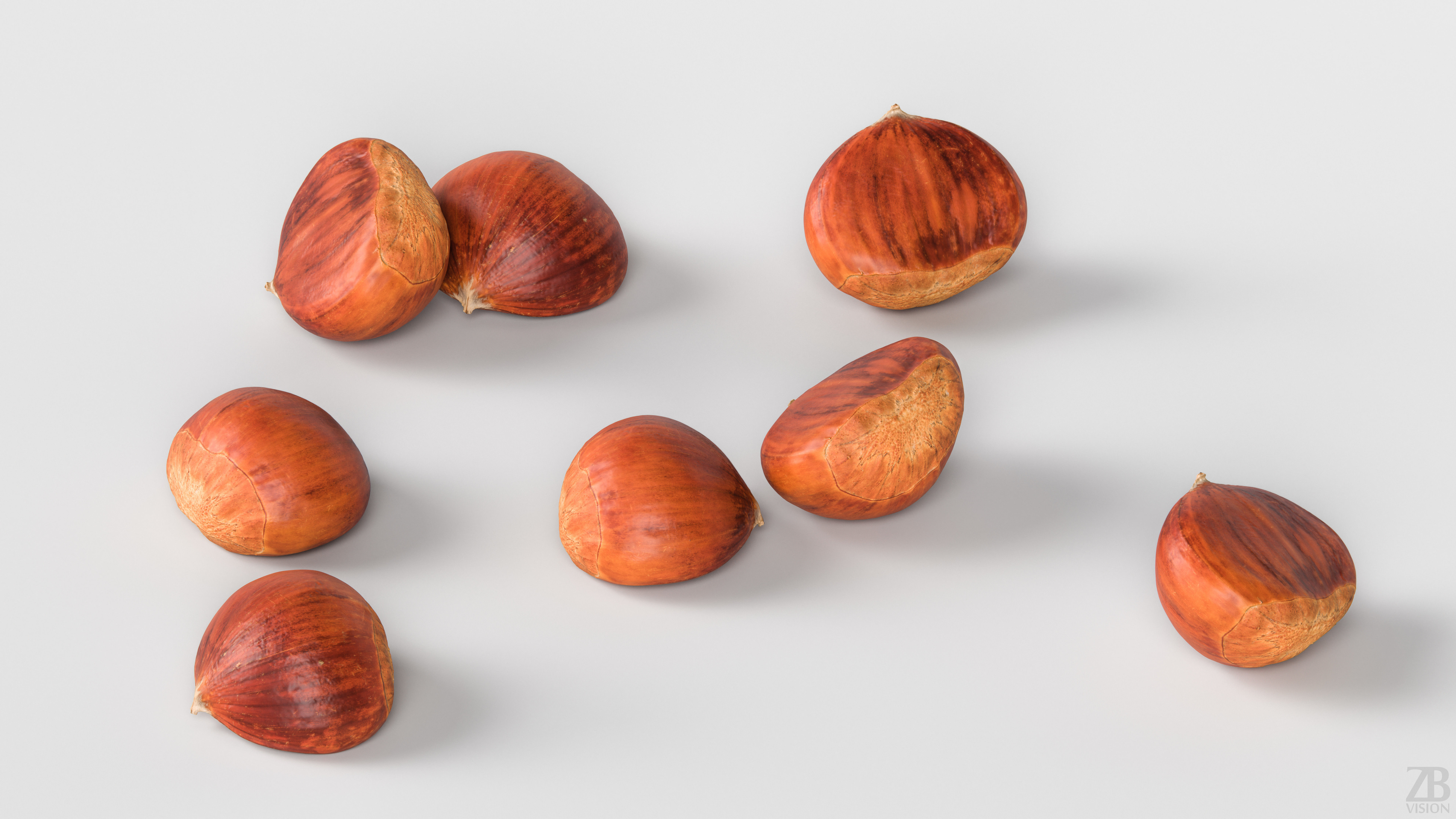 Chestnut 3D model_2
