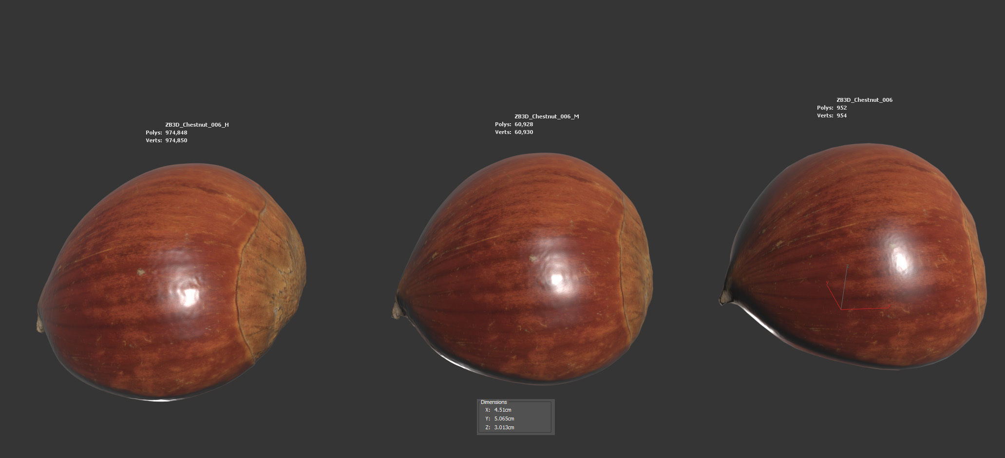 Chestnut 3D model_5