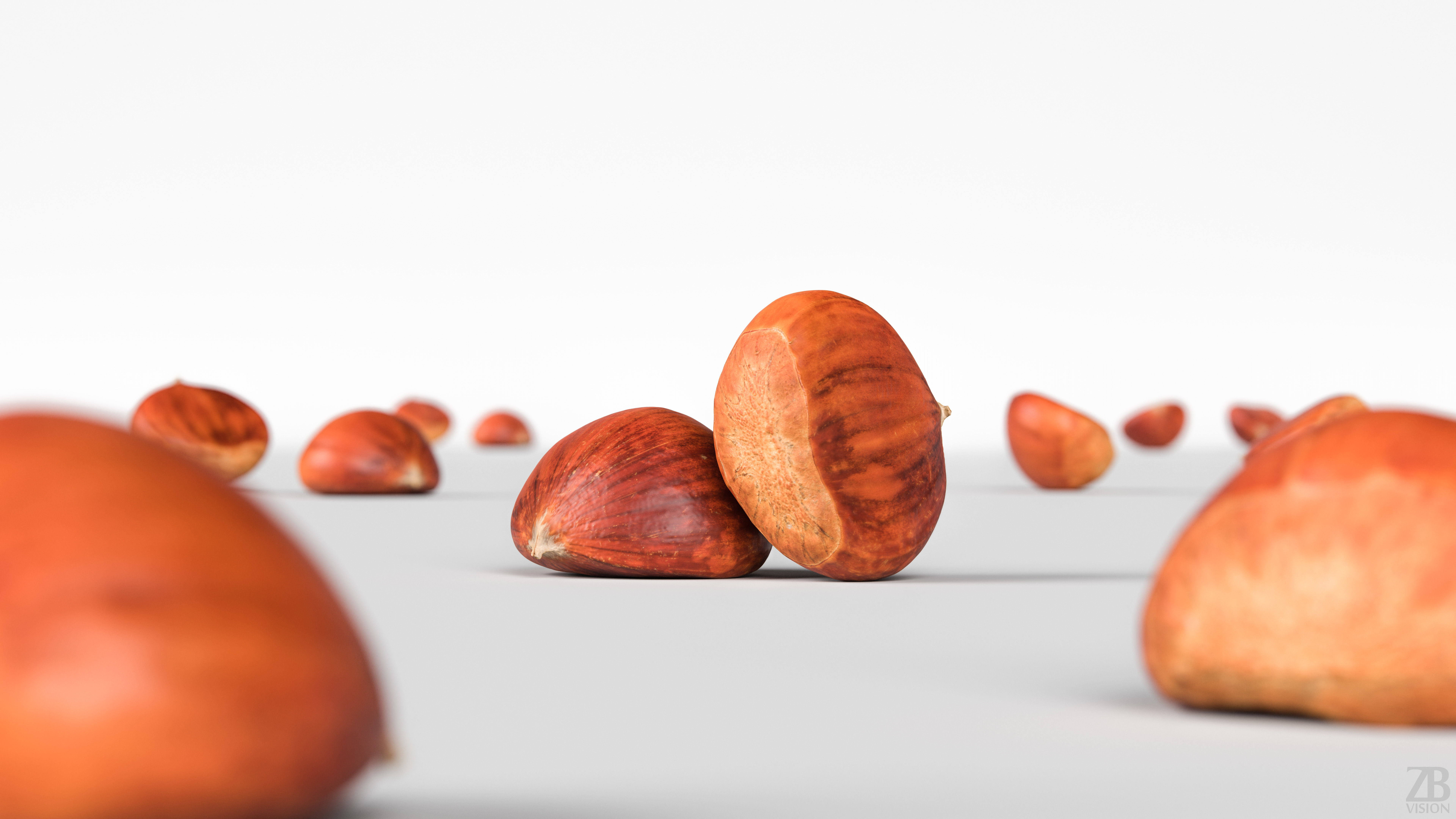 Chestnut 3D model_1