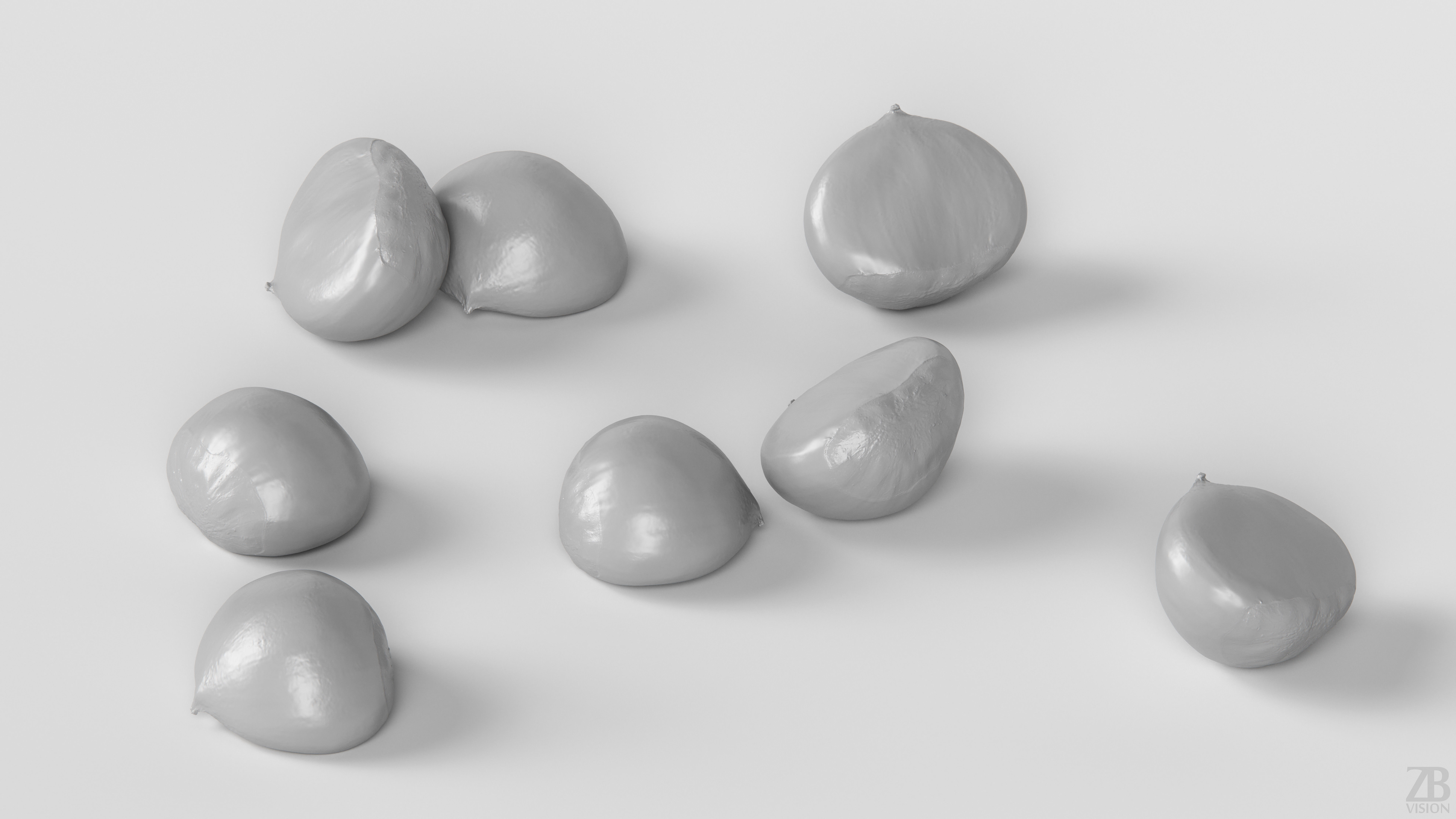 Chestnut 3D model_3