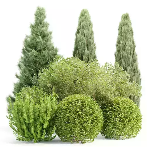 Plants for outdoor collection vol 231 3D model