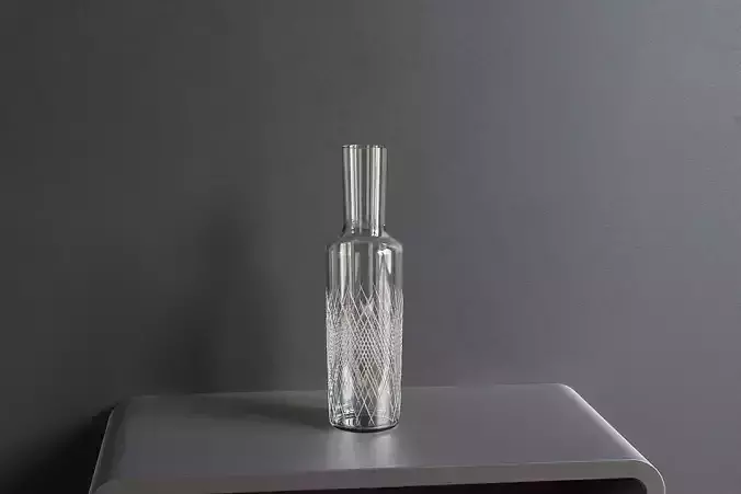 Water Carafe 3D model