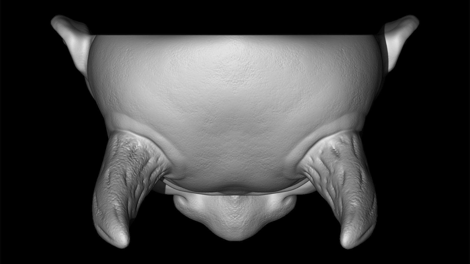 Hannya mask Traditional japanese mask 3D print model_11