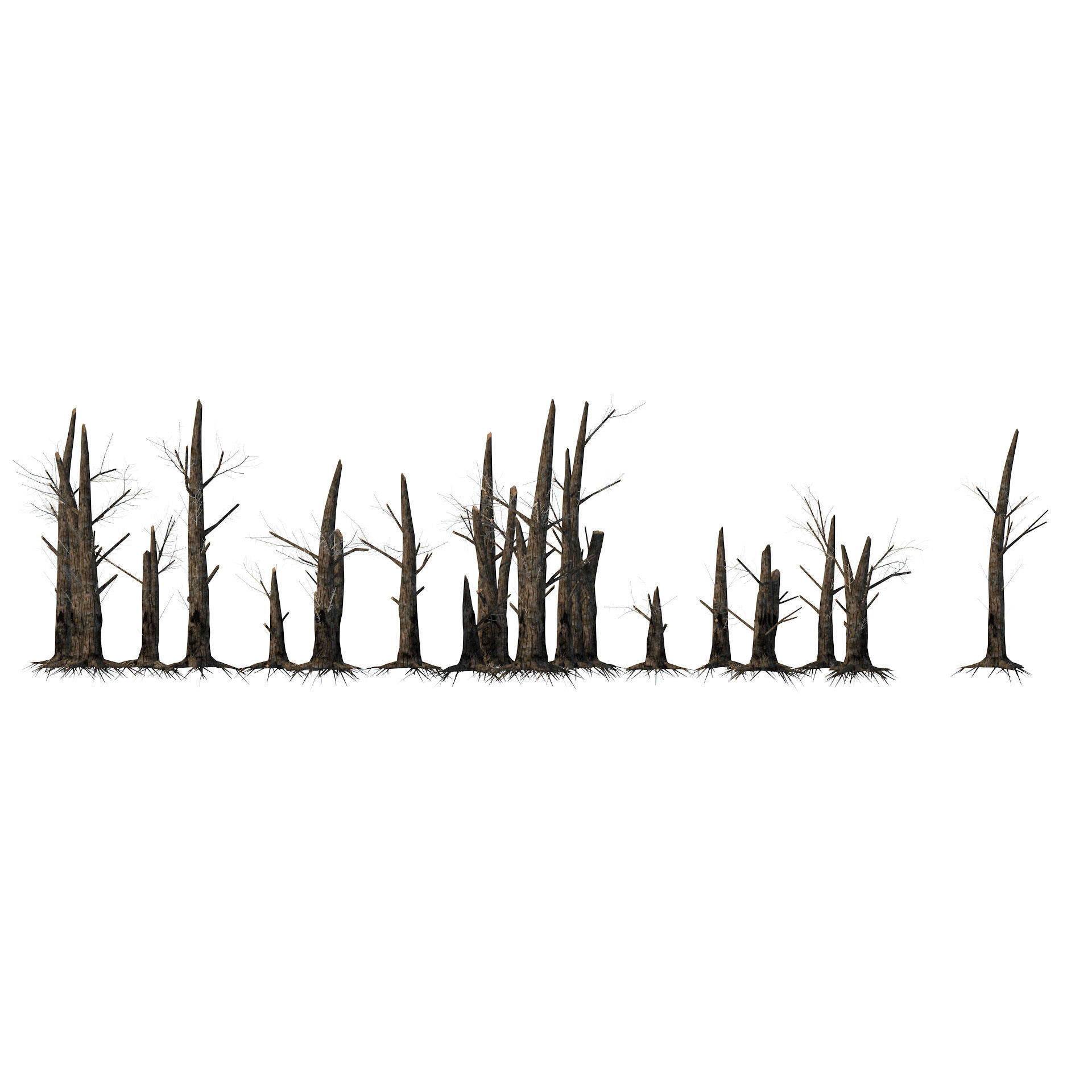 Fire-killed trees Low-poly 3D model_5
