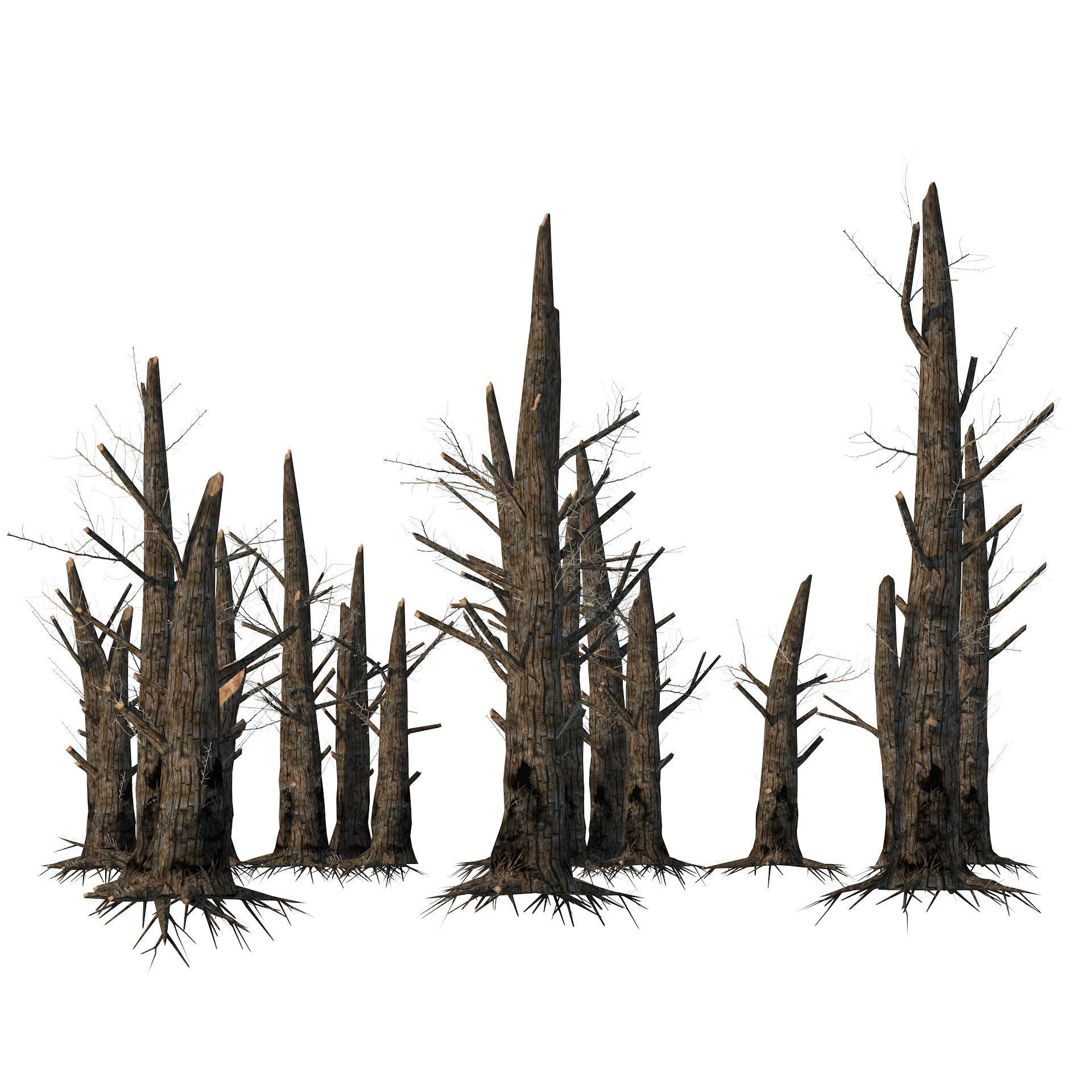 Fire-killed trees Low-poly 3D model_2