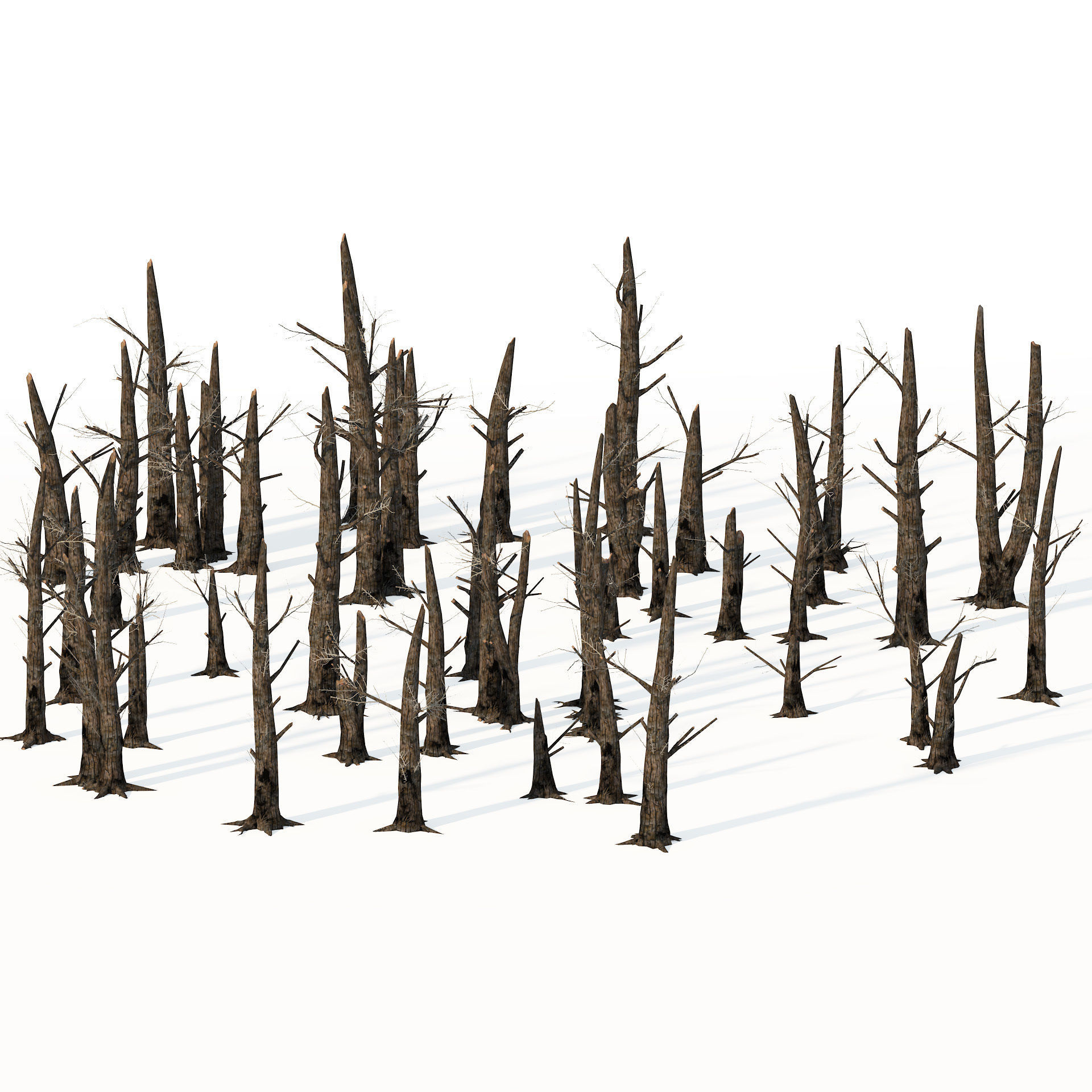Fire-killed trees Low-poly 3D model_3