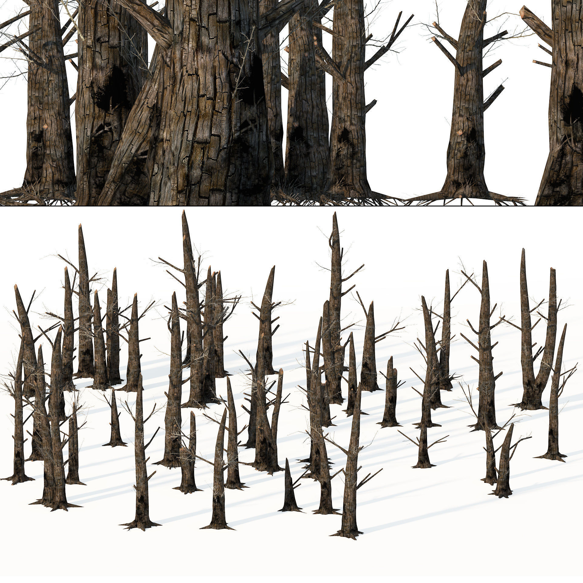 Fire-killed trees Low-poly 3D model_7