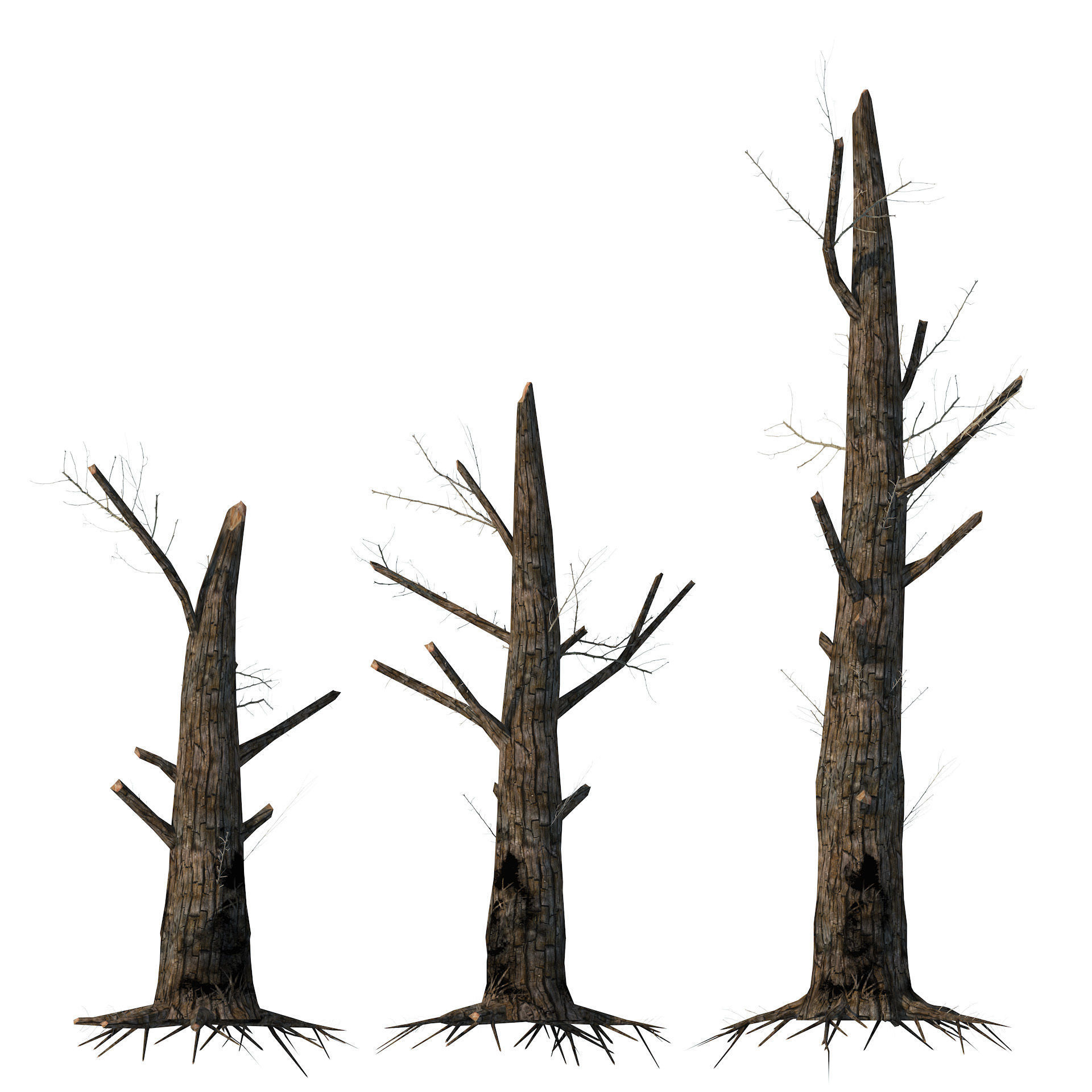 Fire-killed trees Low-poly 3D model_4