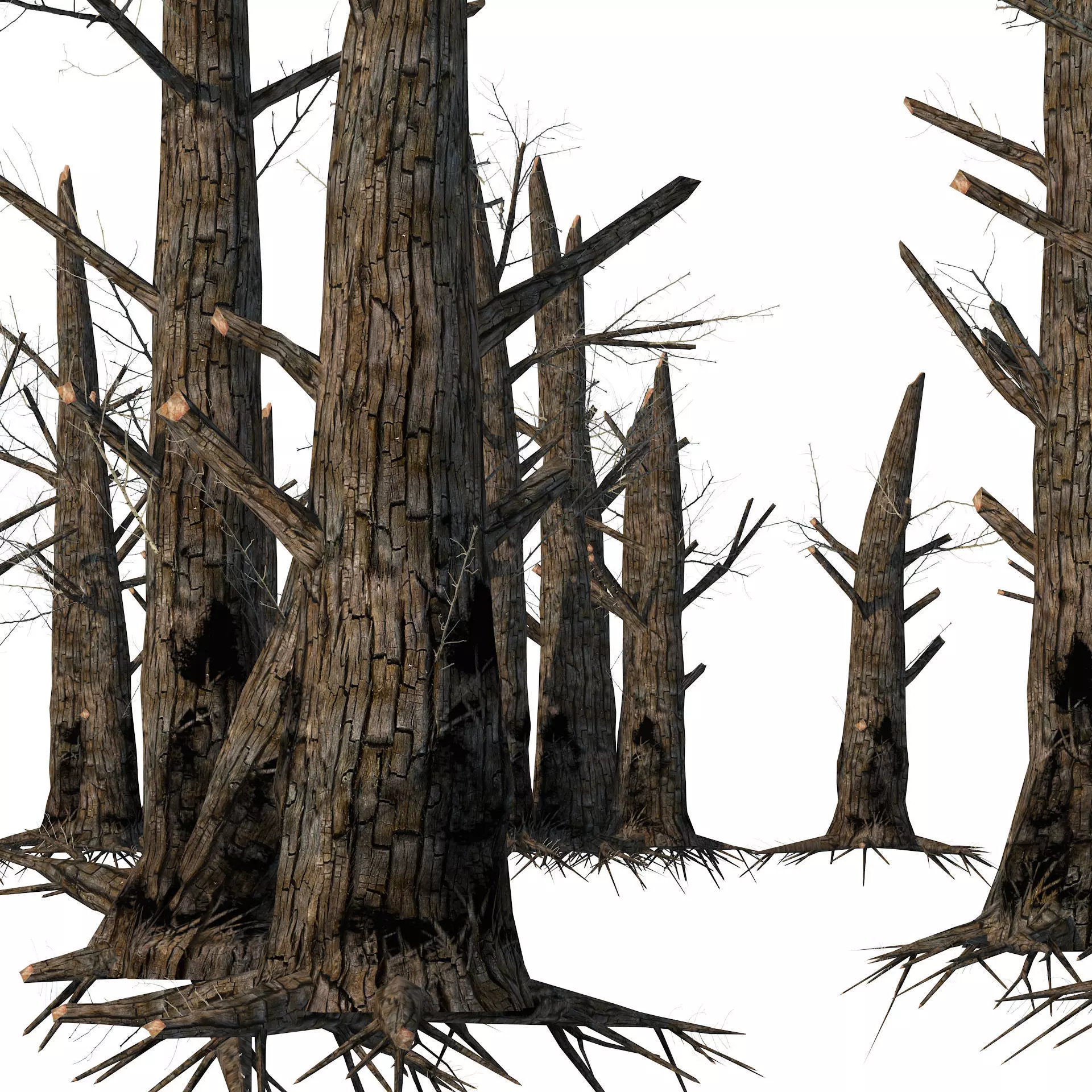 Fire-killed trees Low-poly 3D model_0