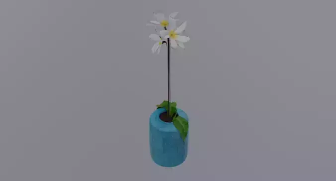 Flower Pot