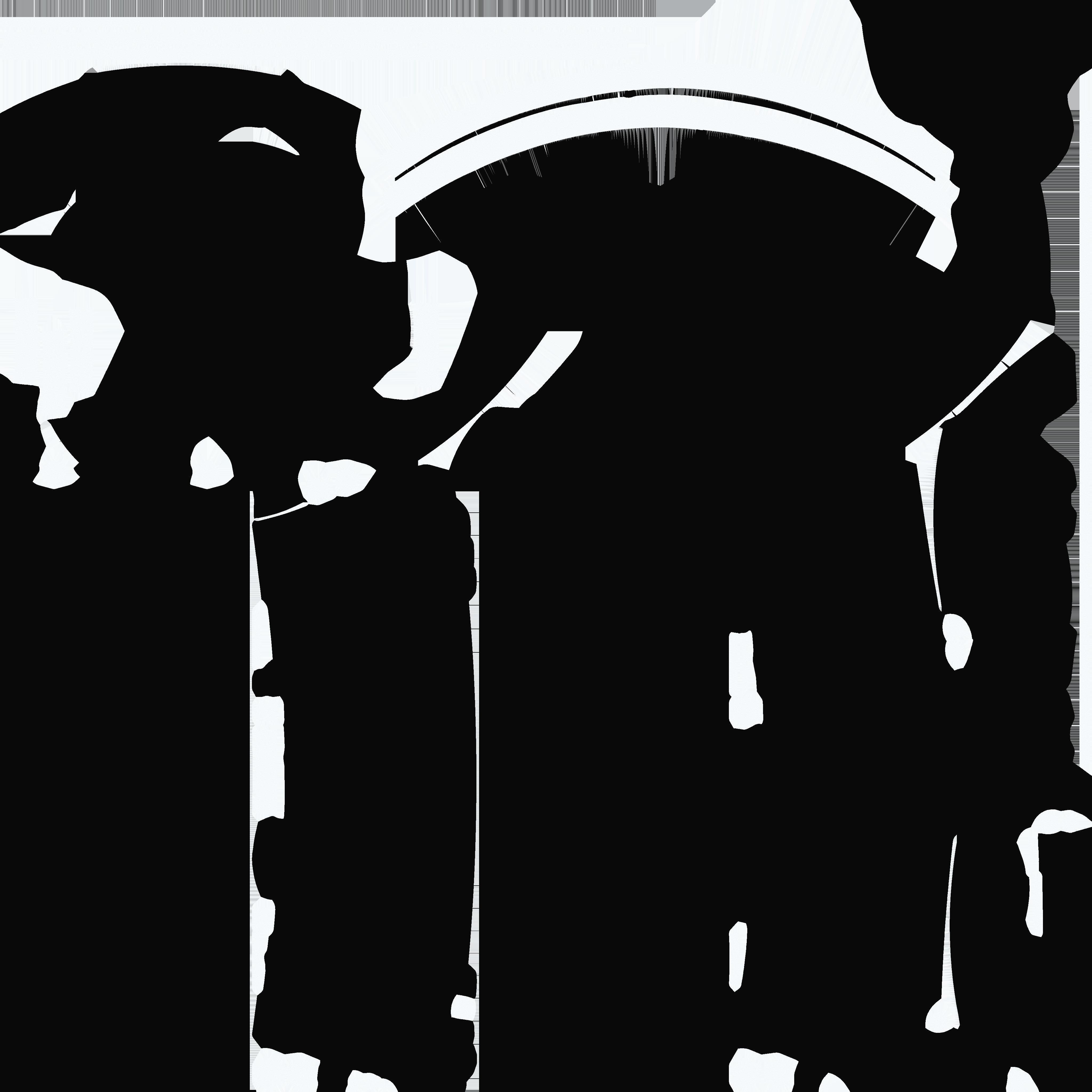 Cobra R 1995 Dished Wheel 17x9 3D model_26